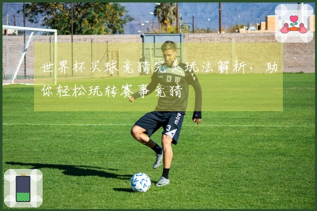 世界杯买球竞猜完美玩法解析，助你轻松玩转赛事竞猜
