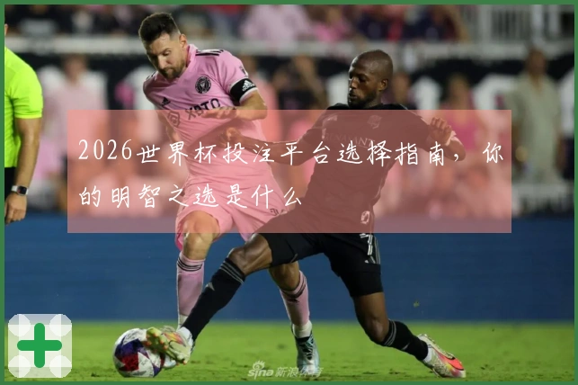 2026世界杯投注平台选择指南，你的明智之选是什么