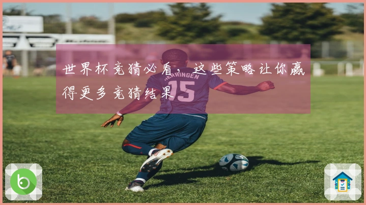 世界杯竞猜必看，这些策略让你赢得更多竞猜结果