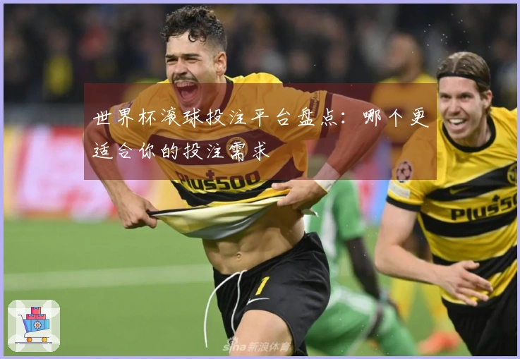 世界杯滚球投注平台盘点：哪个更适合你的投注需求