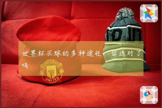 世界杯买球的多种途径，你选对了吗