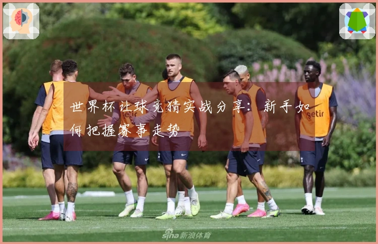 世界杯让球竞猜实战分享：新手如何把握赛事走势