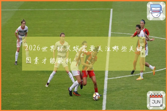 2026世界杯买球需要关注哪些关键因素才能获利