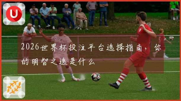 2026世界杯投注平台选择指南，你的明智之选是什么