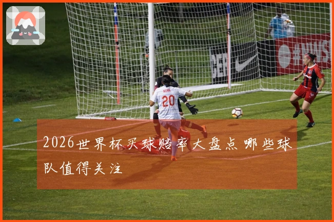 2026世界杯买球赔率大盘点 哪些球队值得关注