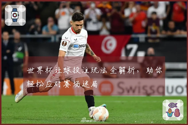世界杯让球投注玩法全解析，助你轻松应对赛场迷局