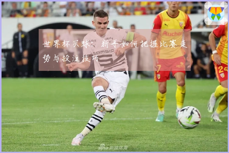 世界杯买球：新手如何把握比赛走势与投注技巧