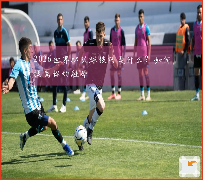 2026世界杯买球技巧是什么？如何提高你的胜率