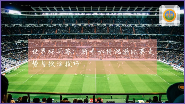 世界杯买球：新手如何把握比赛走势与投注技巧