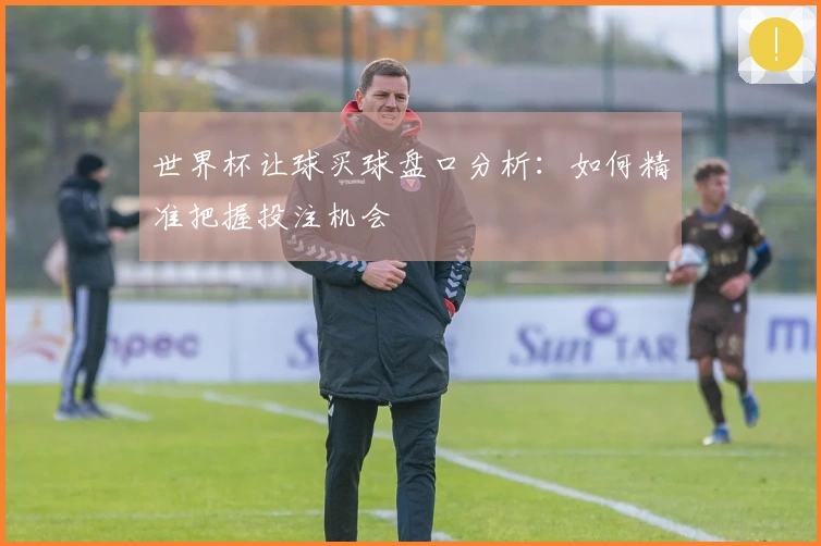 世界杯让球买球盘口分析：如何精准把握投注机会