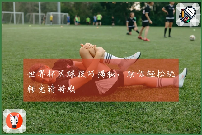 世界杯买球技巧揭秘，助你轻松玩转竞猜游戏