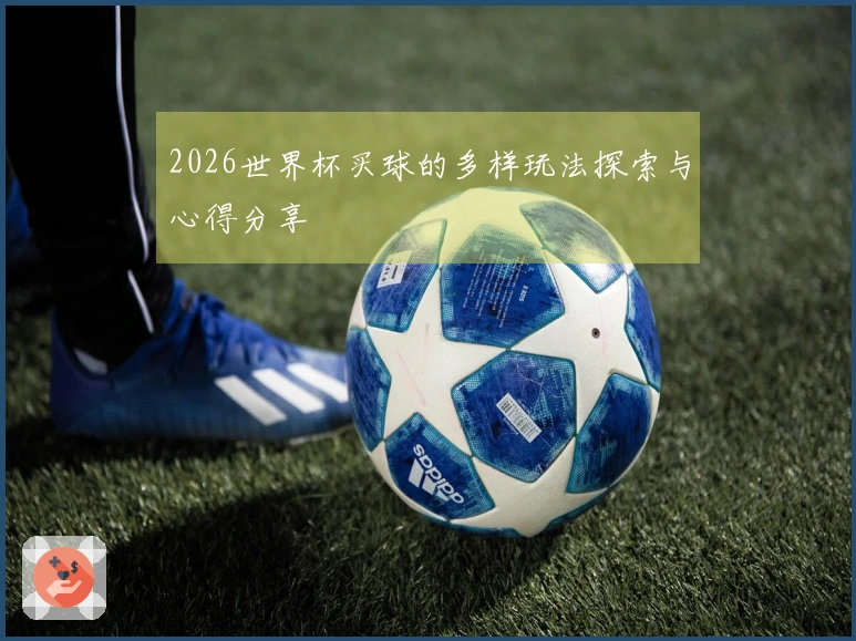 2026世界杯买球的多样玩法探索与心得分享