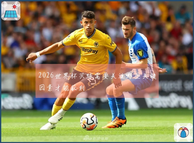 2026世界杯买球需要关注哪些关键因素才能获利