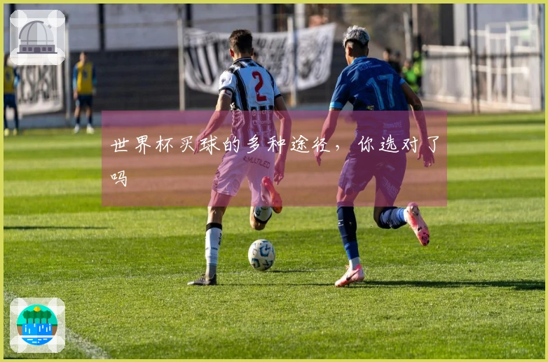 世界杯买球的多种途径，你选对了吗