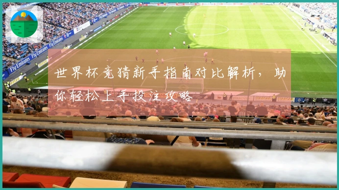 世界杯竞猜新手指南对比解析，助你轻松上手投注攻略