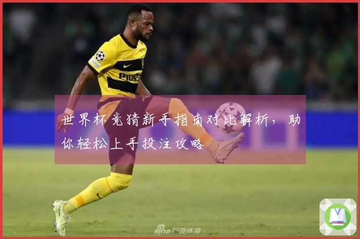 世界杯竞猜新手指南对比解析，助你轻松上手投注攻略