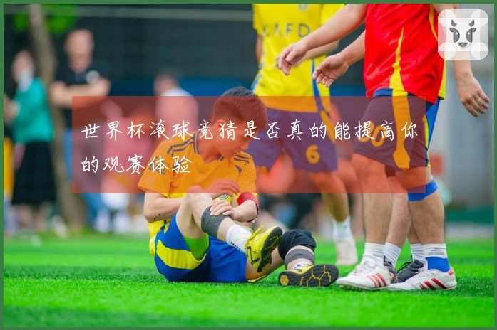 世界杯滚球竞猜是否真的能提高你的观赛体验