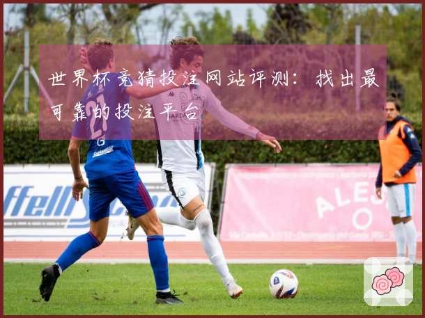 世界杯竞猜投注网站评测：找出最可靠的投注平台