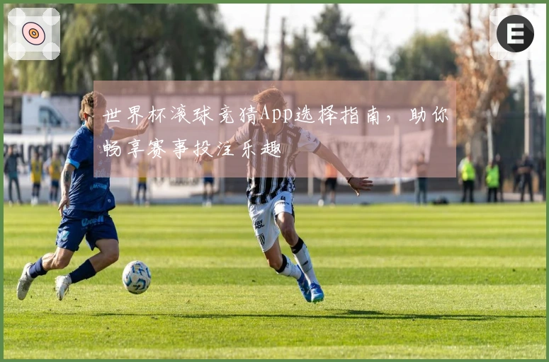 世界杯滚球竞猜App选择指南，助你畅享赛事投注乐趣