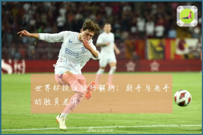 世界杯投注技巧解析：新手与老手的胜负差异