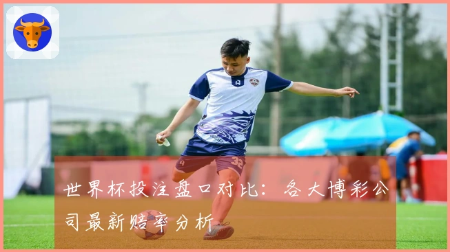 世界杯投注盘口对比：各大博彩公司最新赔率分析