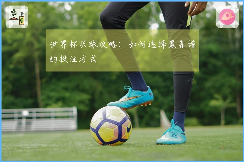 世界杯买球攻略：如何选择最靠谱的投注方式